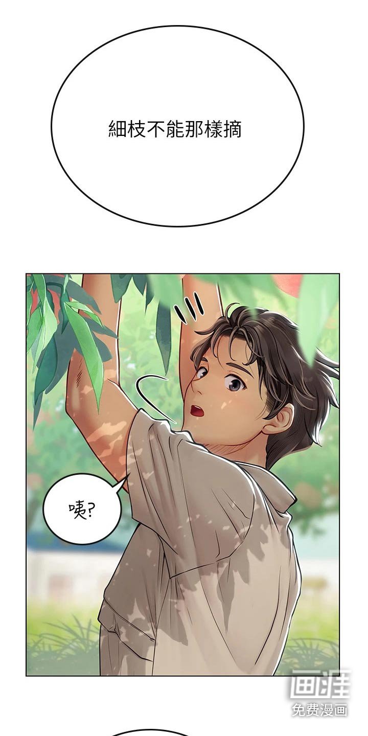 第45章：水蜜桃