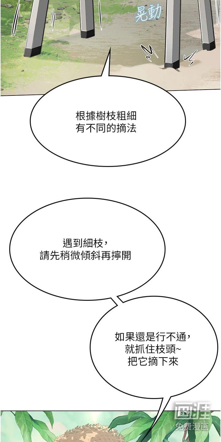 第45章：水蜜桃