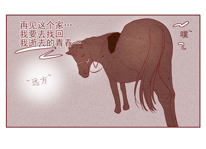 第11章：