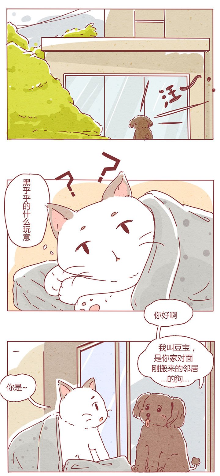 第2章：