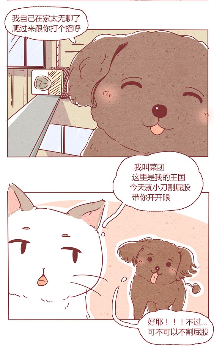 第2章：