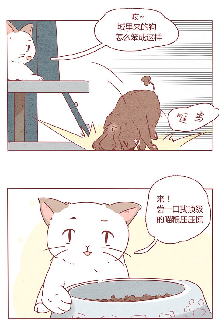 第2章：