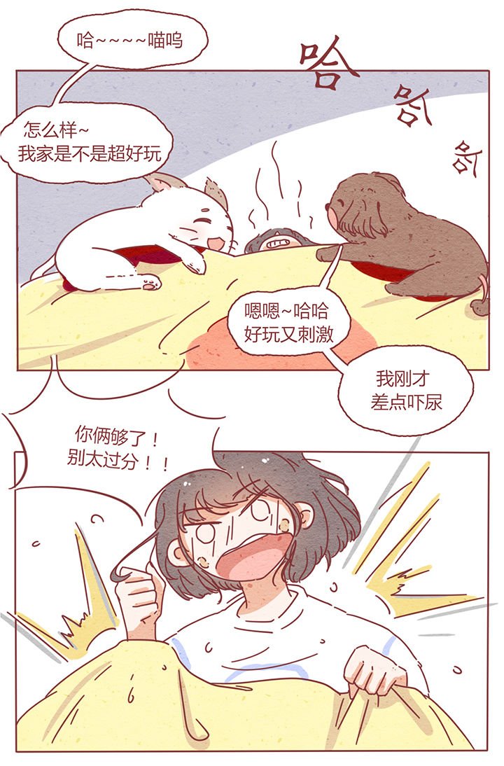 第2章：