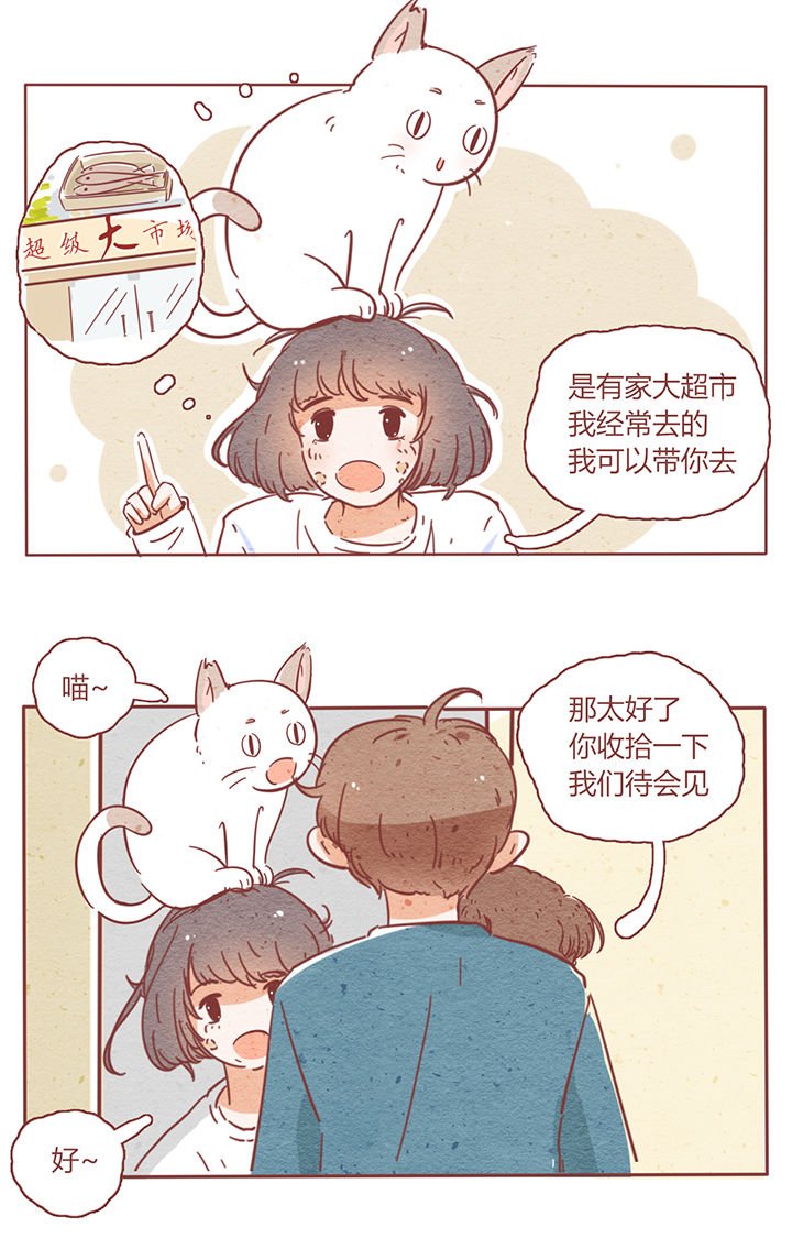 第3章：