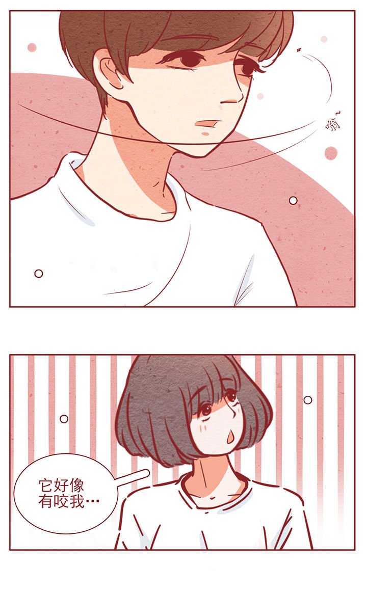 第43章：