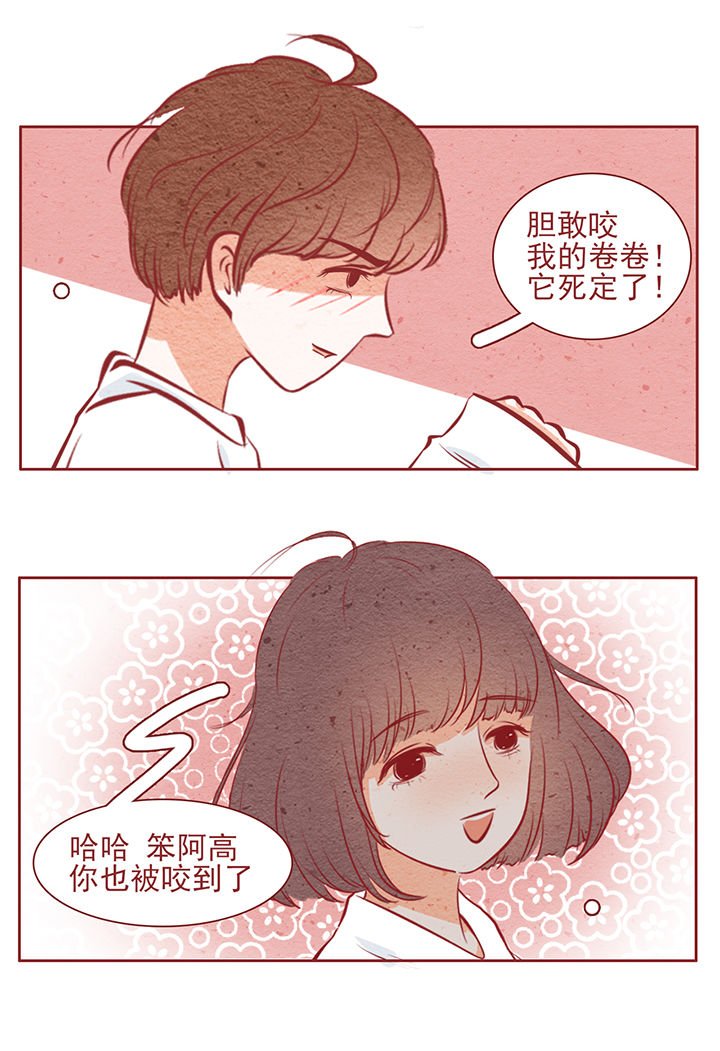第43章：