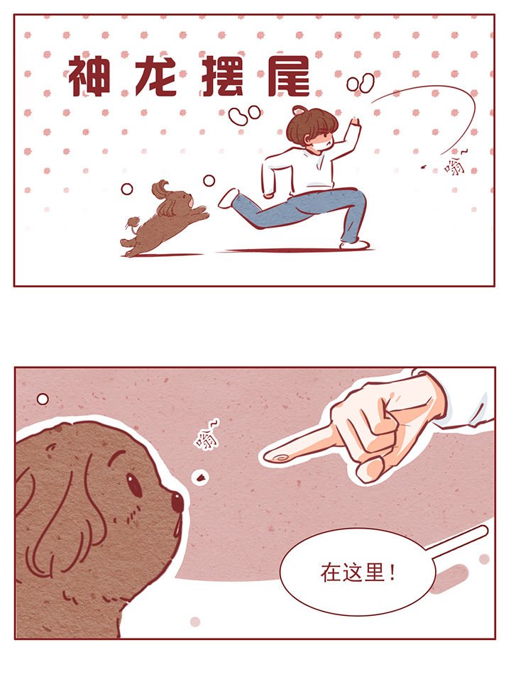 第43章：