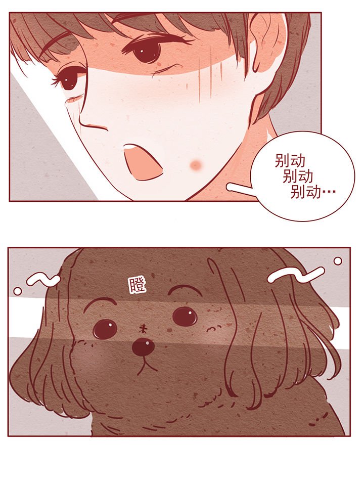 第43章：