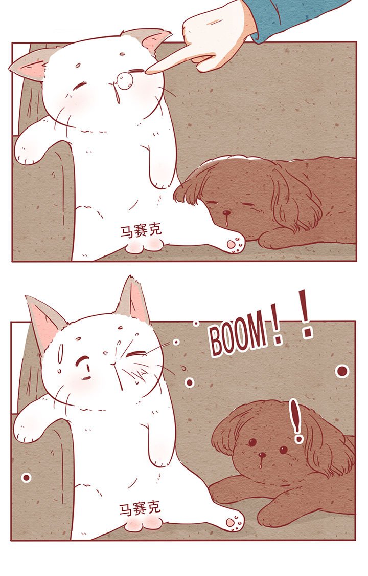 第5章：