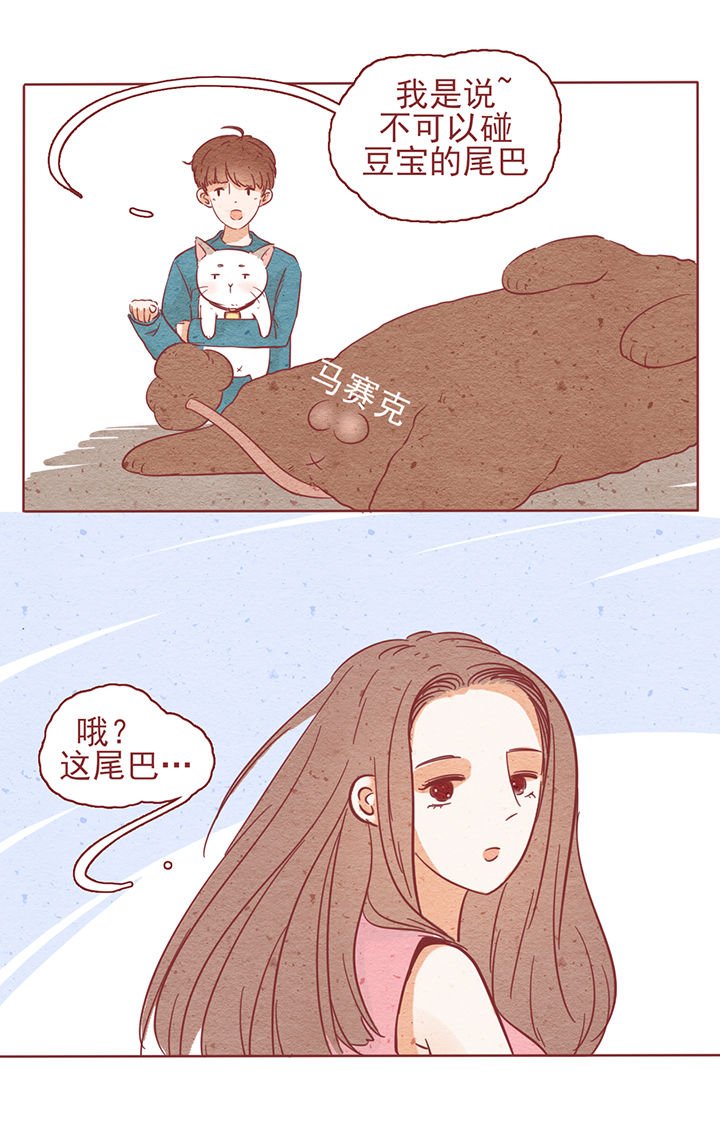 第5章：