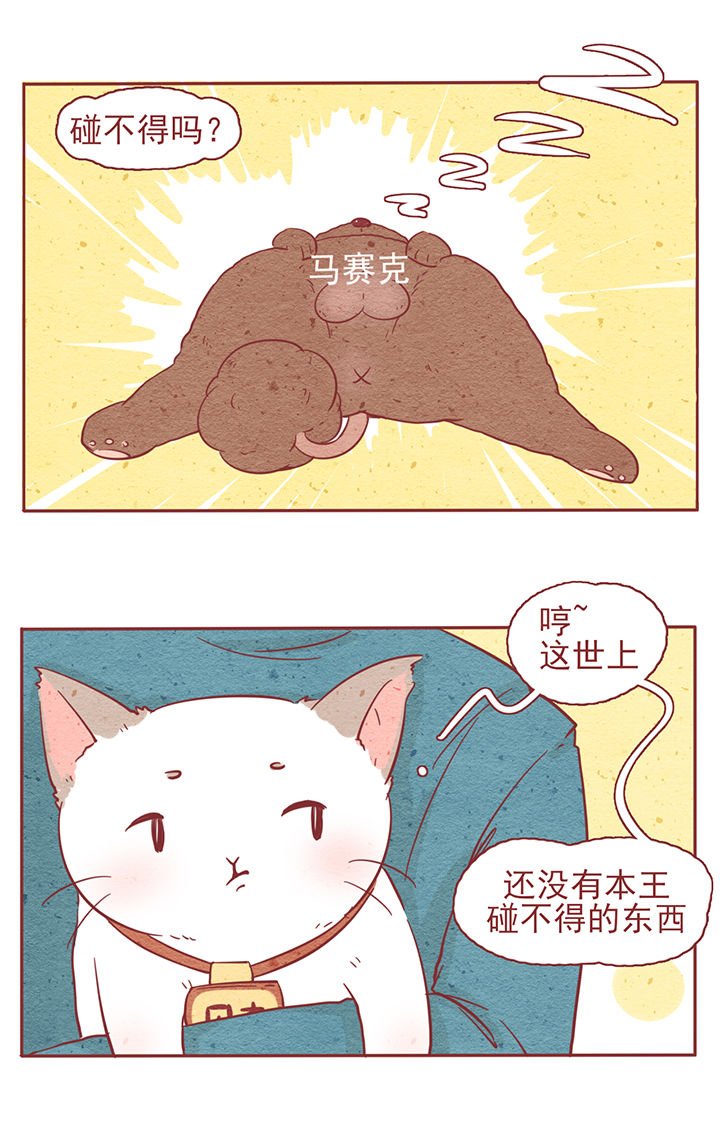 第5章：