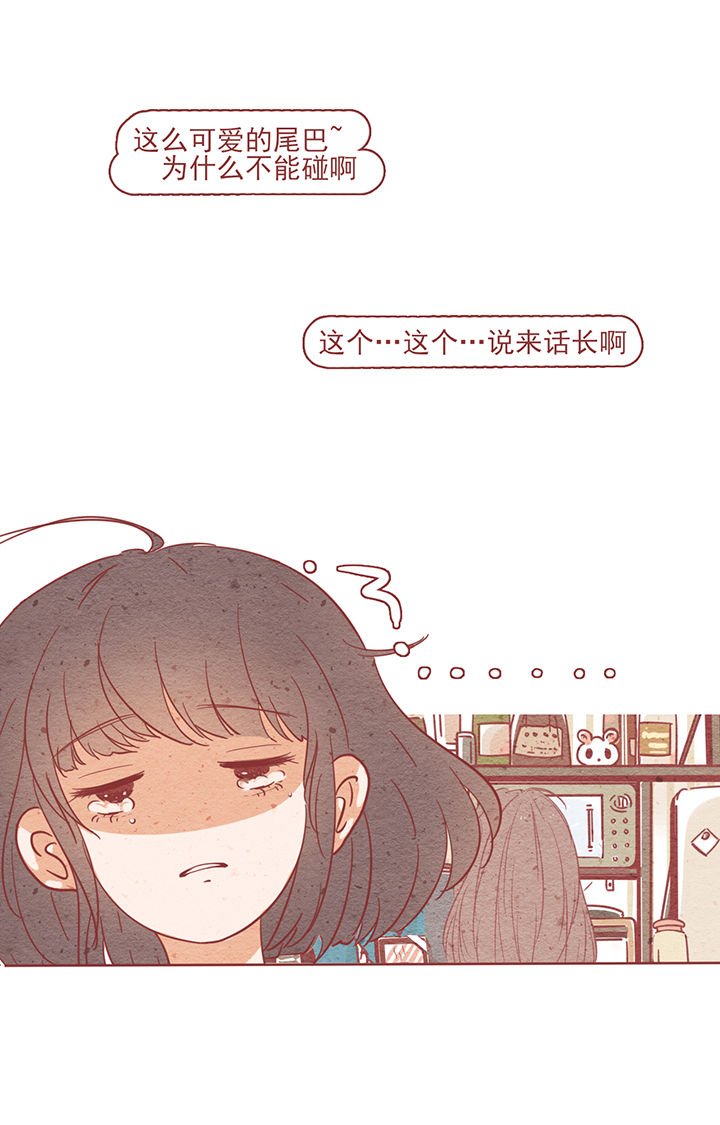 第5章：
