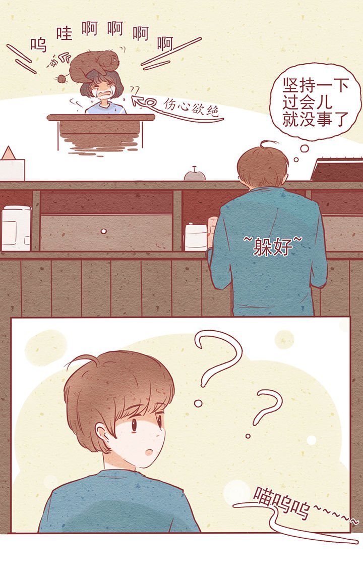 第6章：