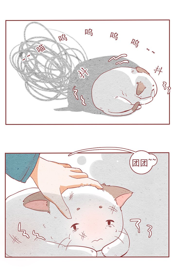 第6章：