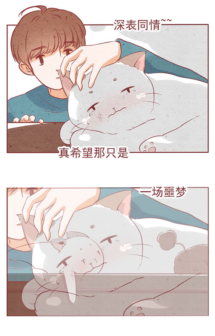 第6章：