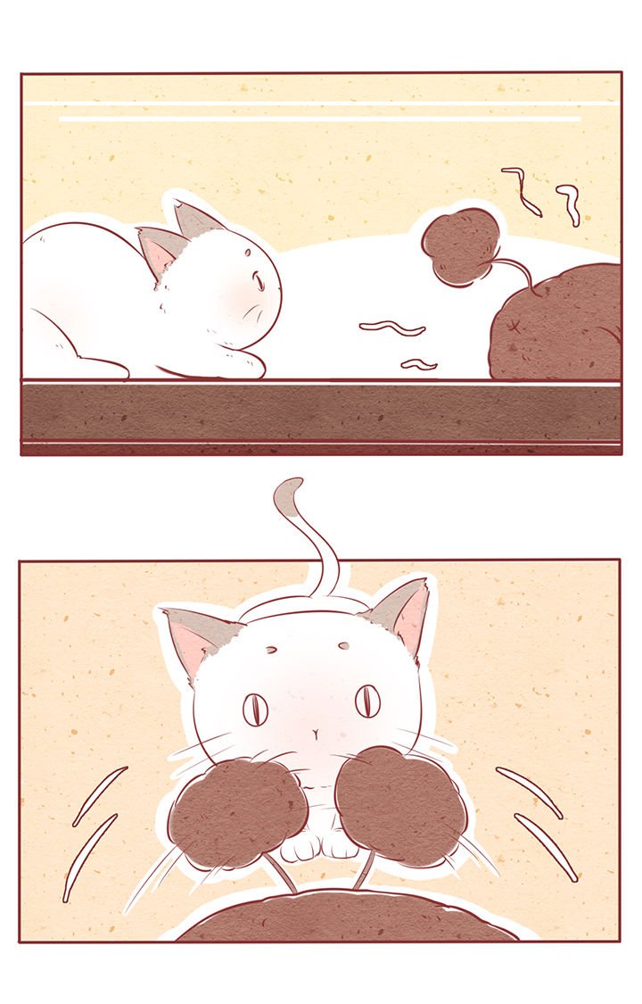 第6章：