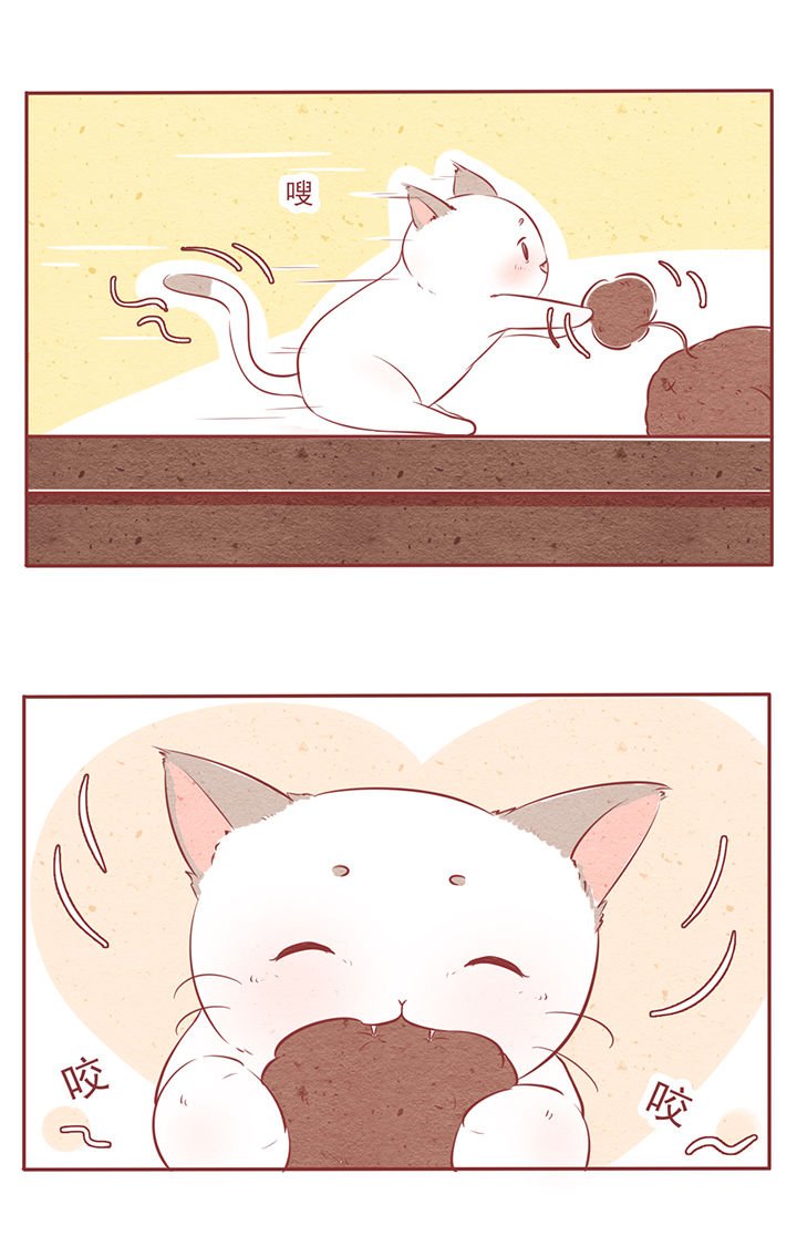 第6章：