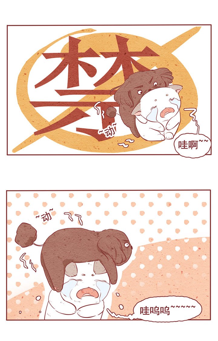 第6章：