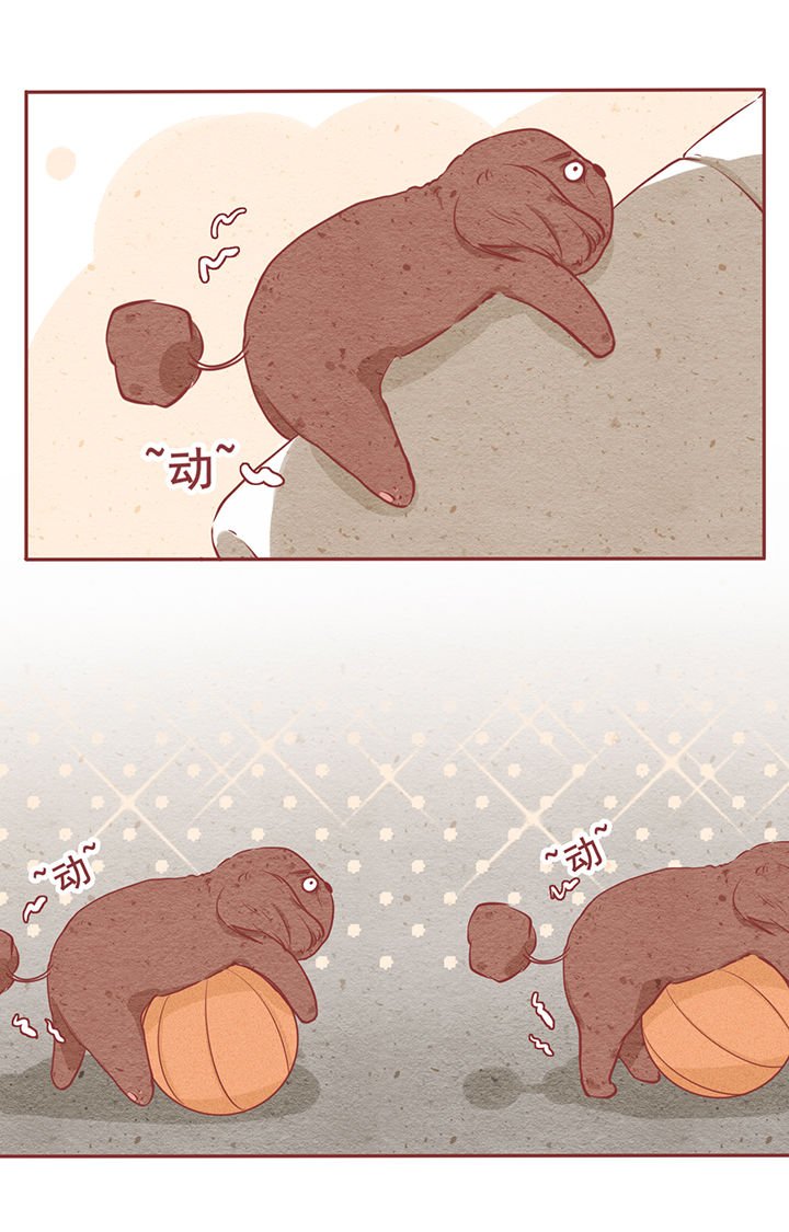 第6章：