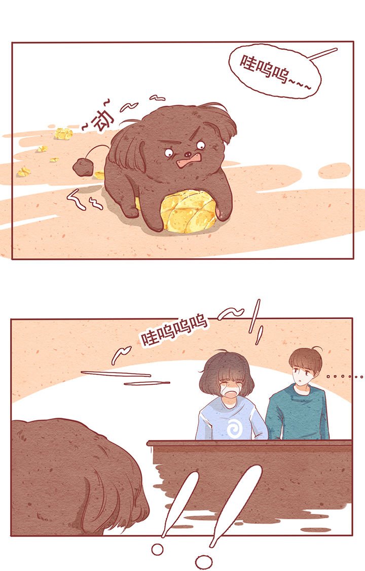 第6章：