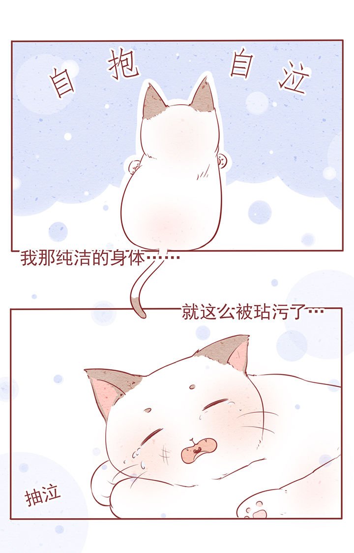 第6章：
