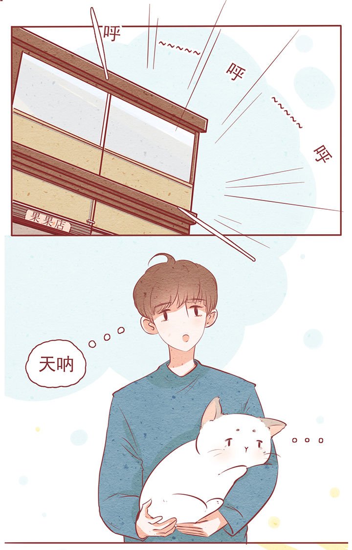 第7章：
