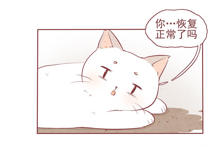 第7章：