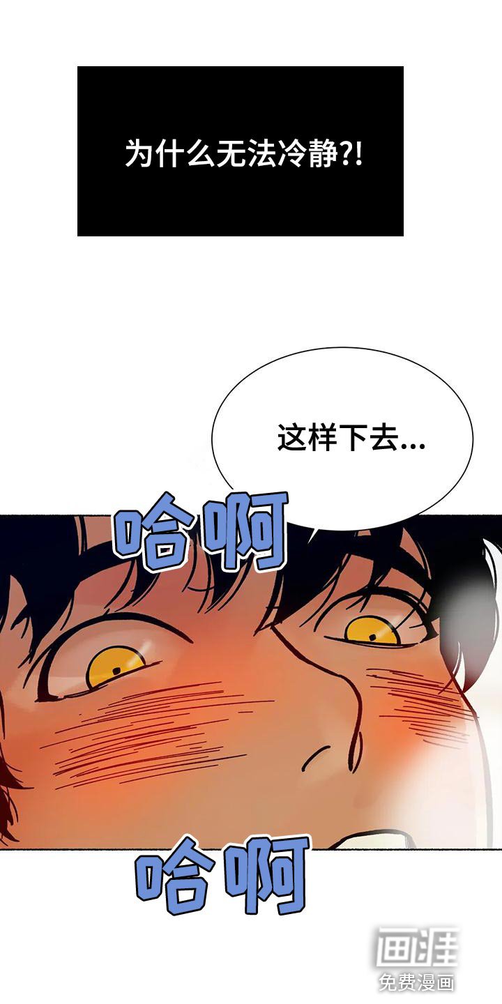 第19章：回村子吧