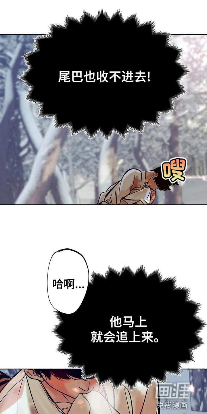 第19章：回村子吧