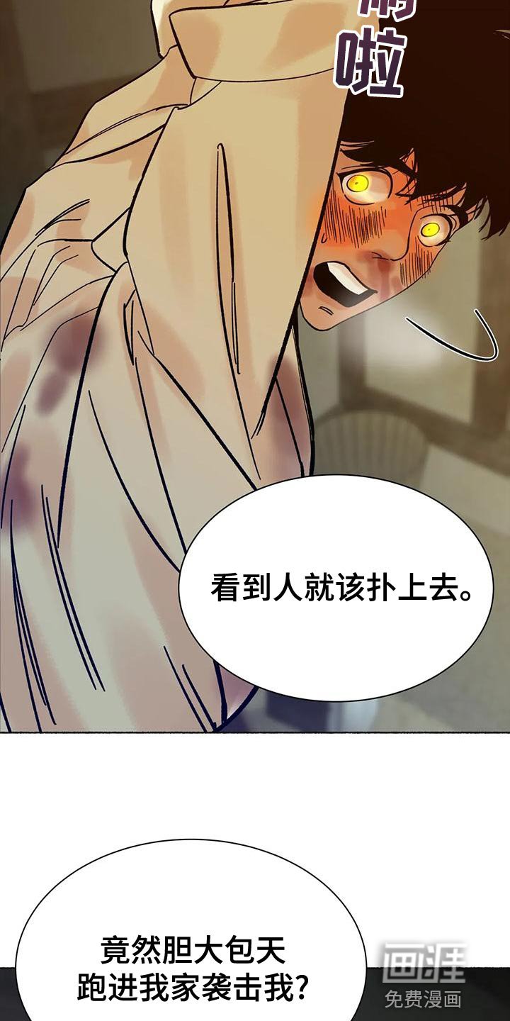 第25章：疯狂