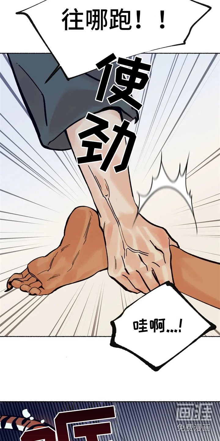 第8章：误认