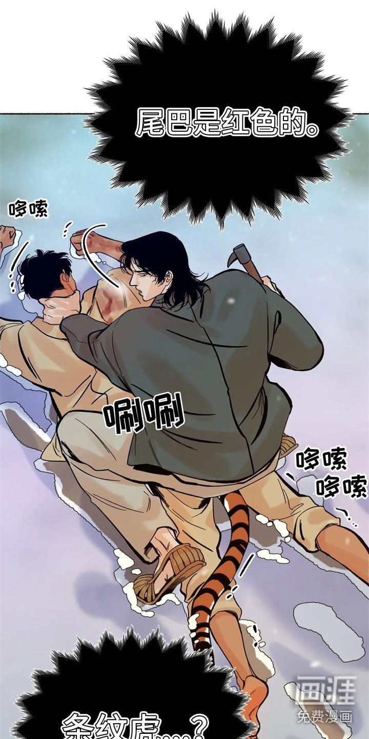 第8章：误认