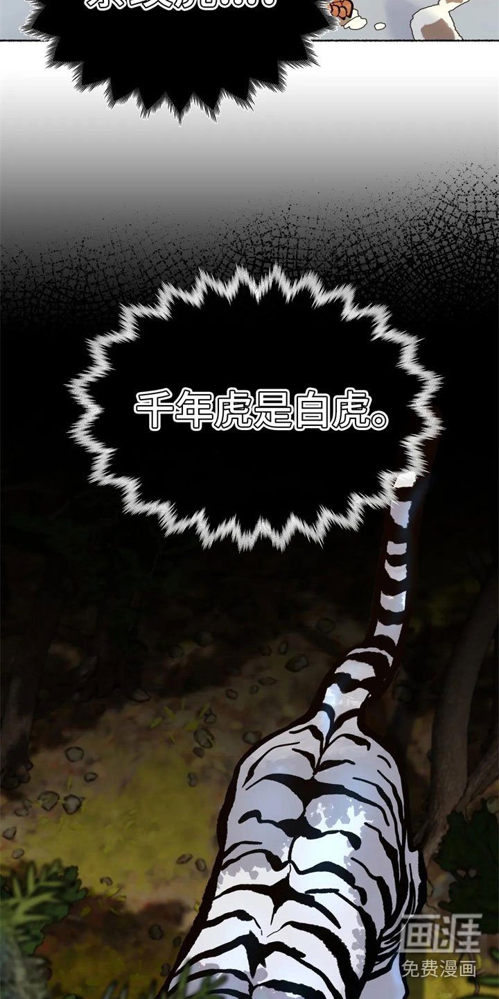 第8章：误认