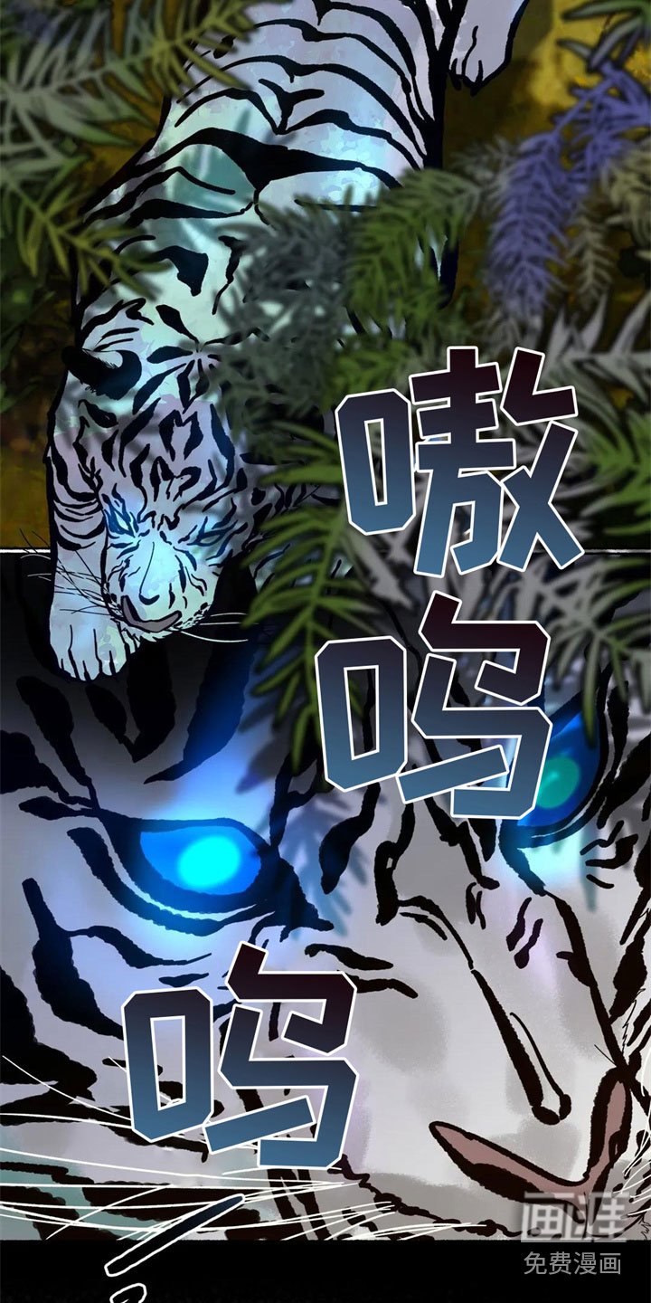 第8章：误认