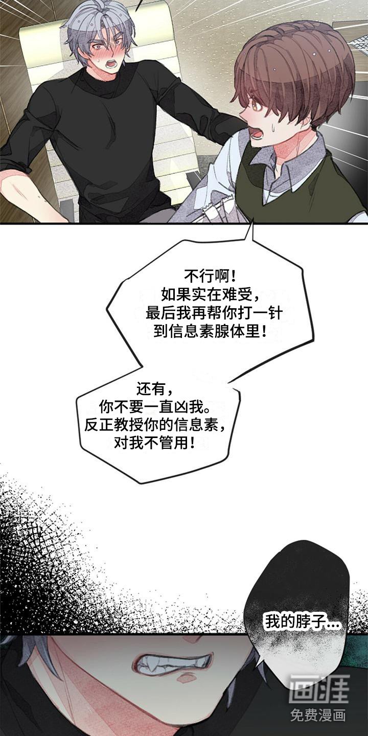 第10章：没有效果