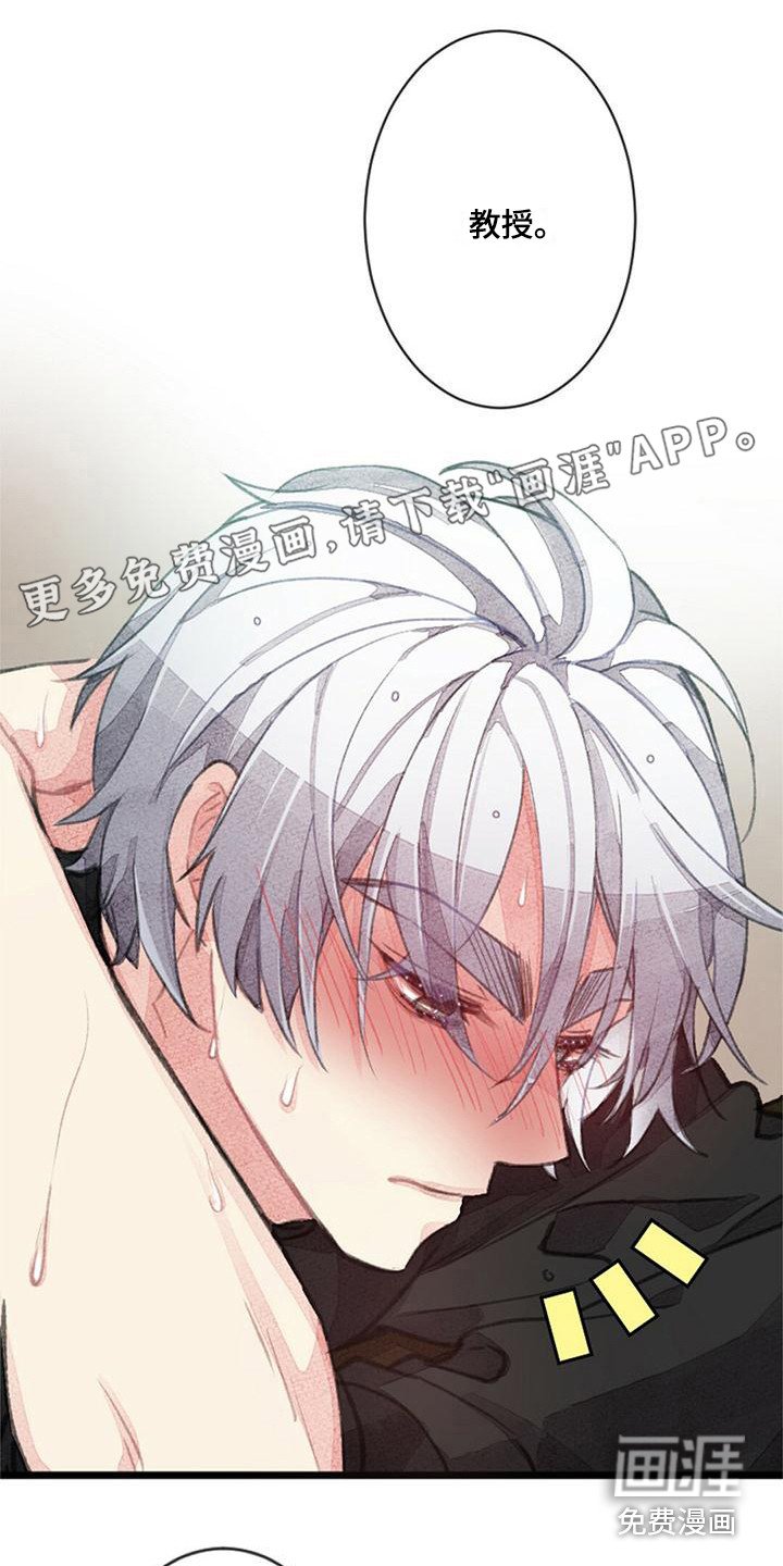 第11章：模拟标记