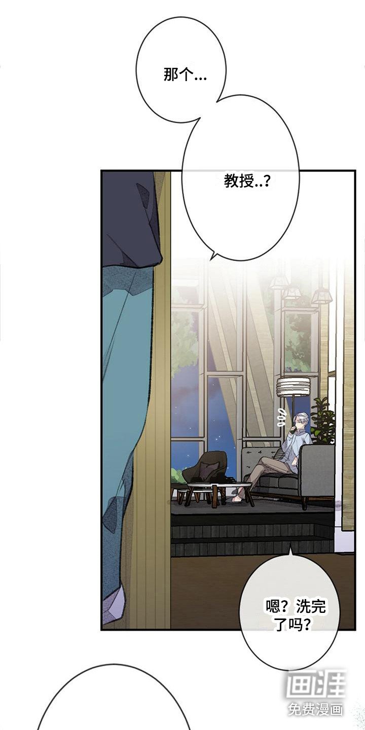 第20章：宽松