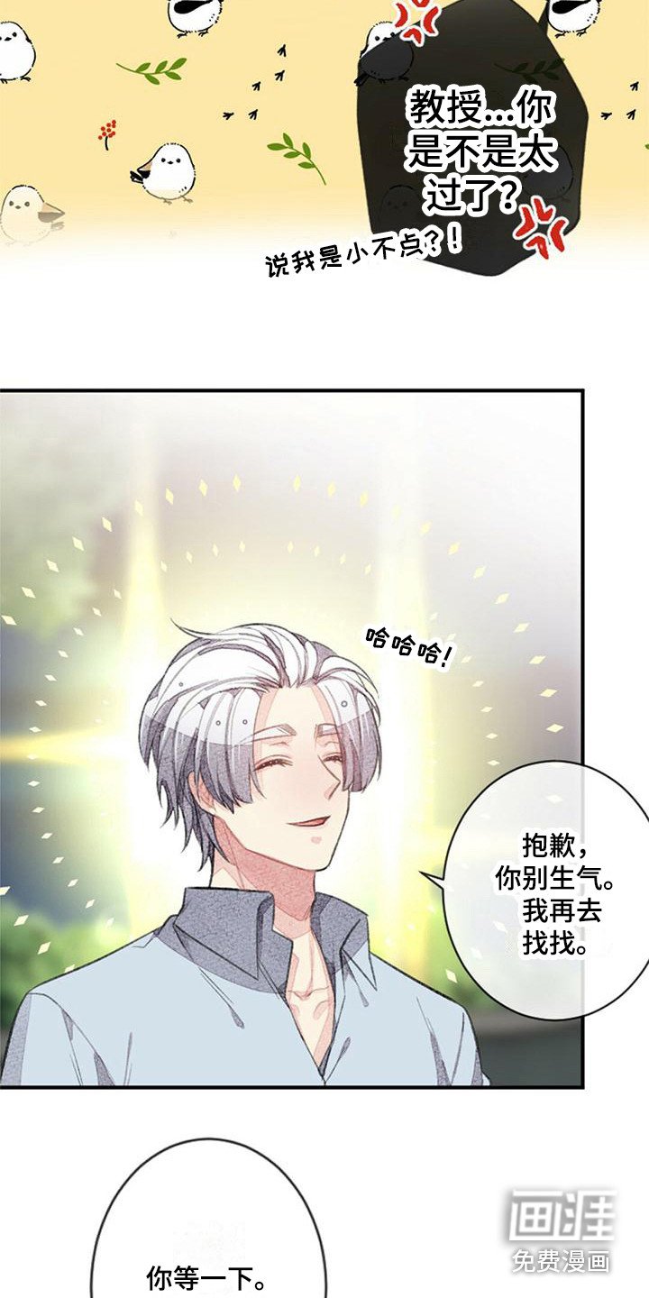 第20章：宽松