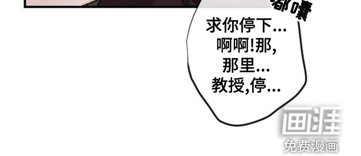 第25章：做梦