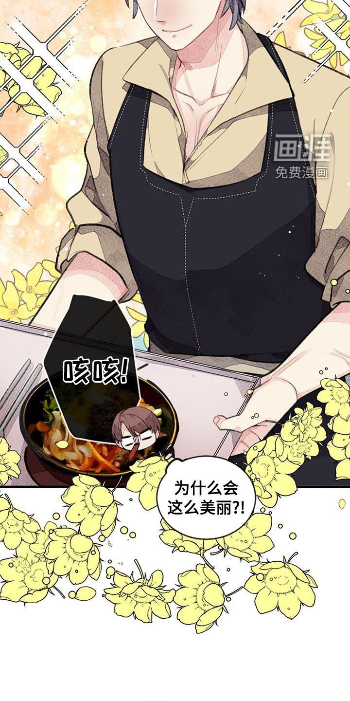 第26章：就此打住