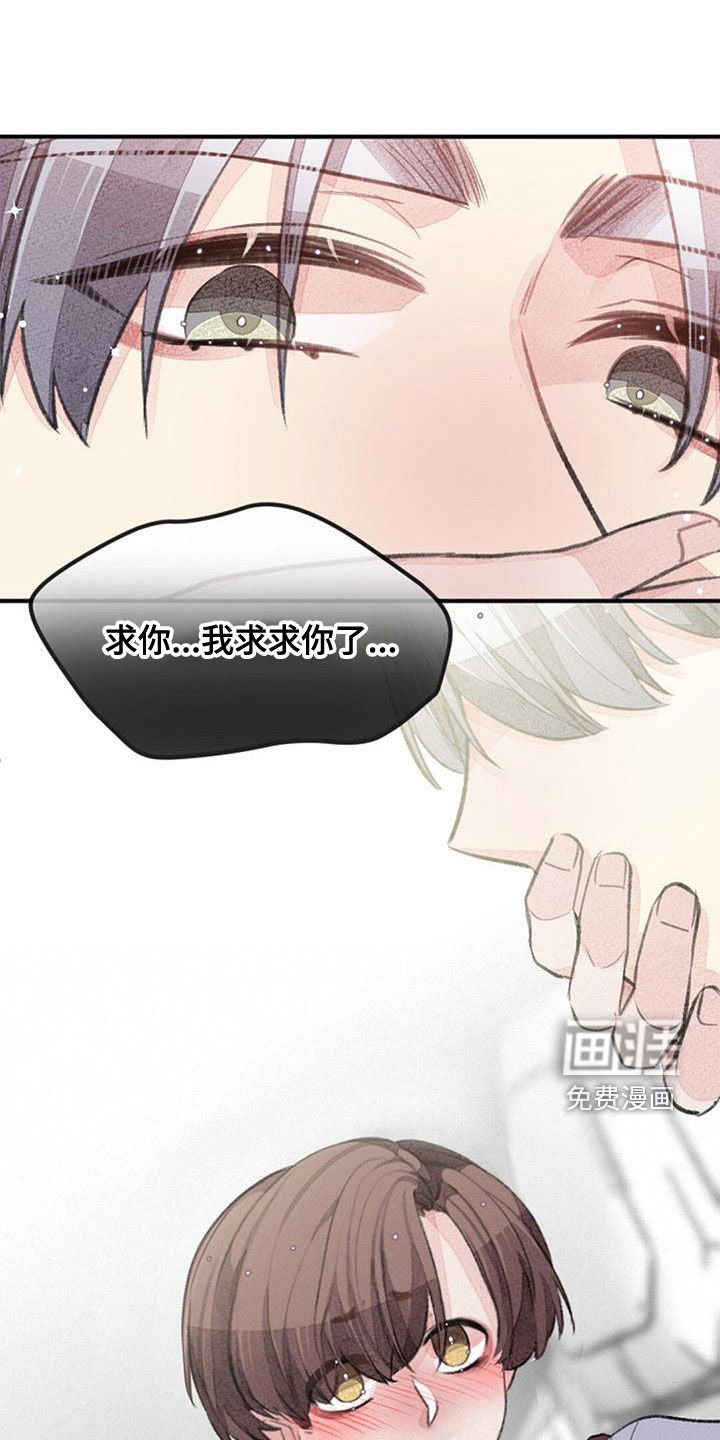 第26章：就此打住