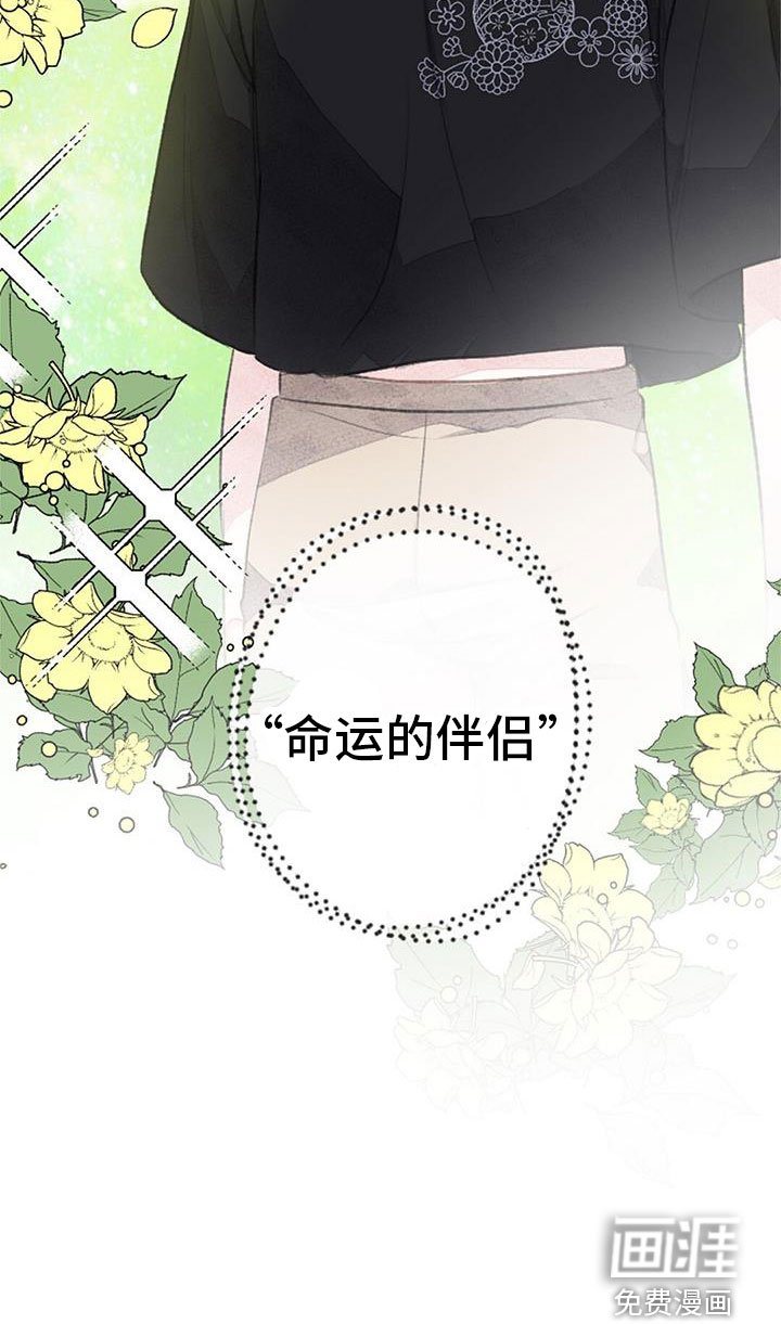 第32章：命运的伴侣