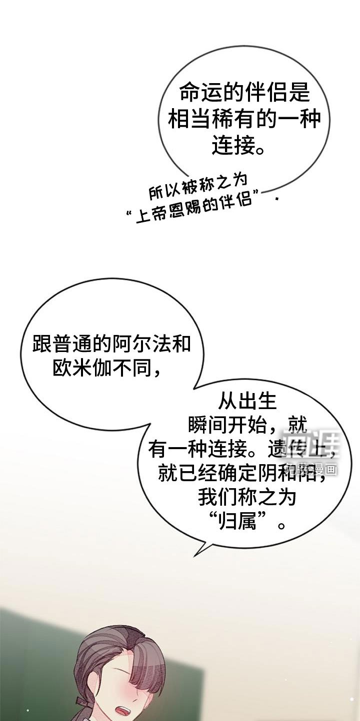第32章：命运的伴侣