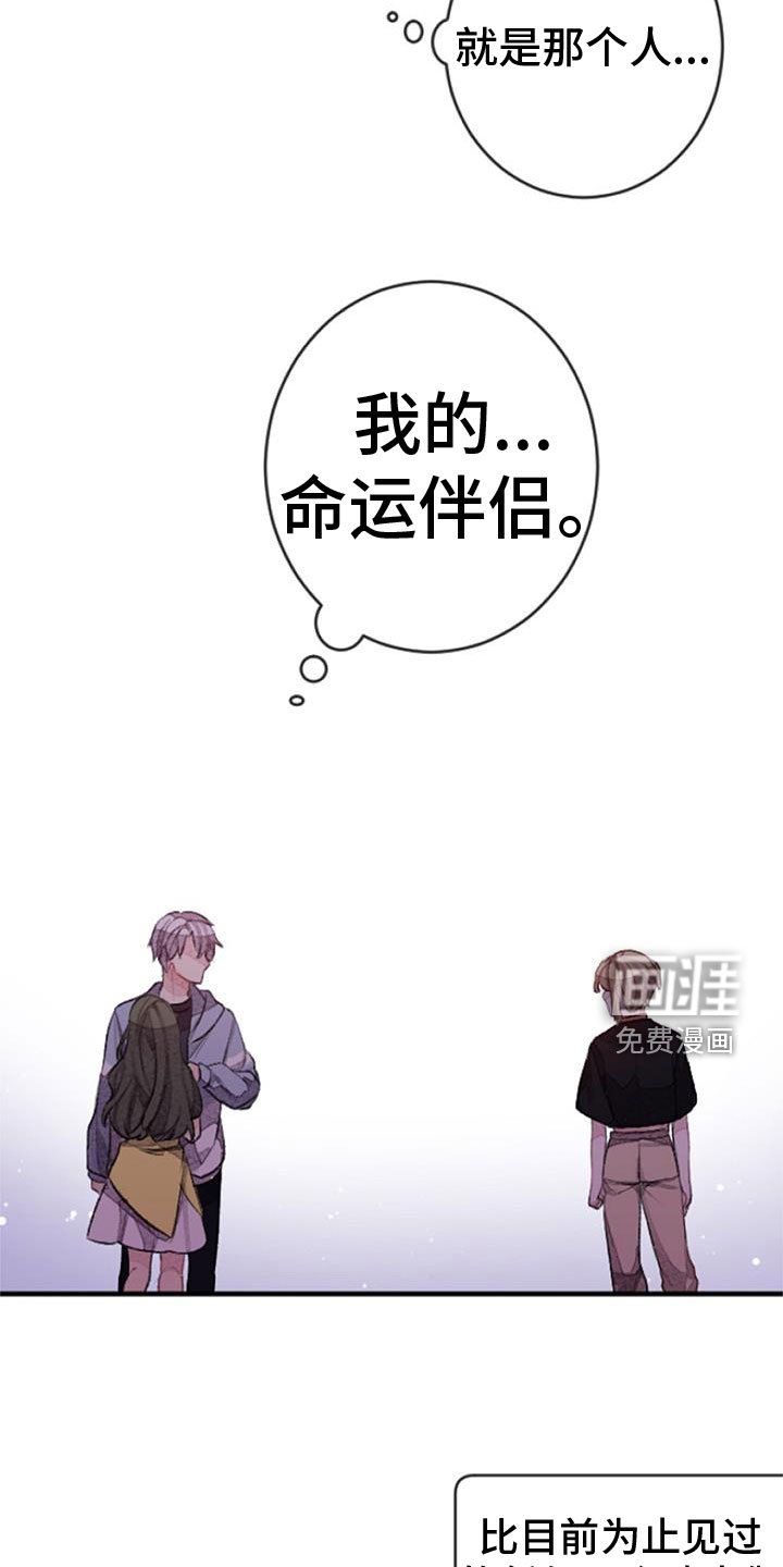 第32章：命运的伴侣