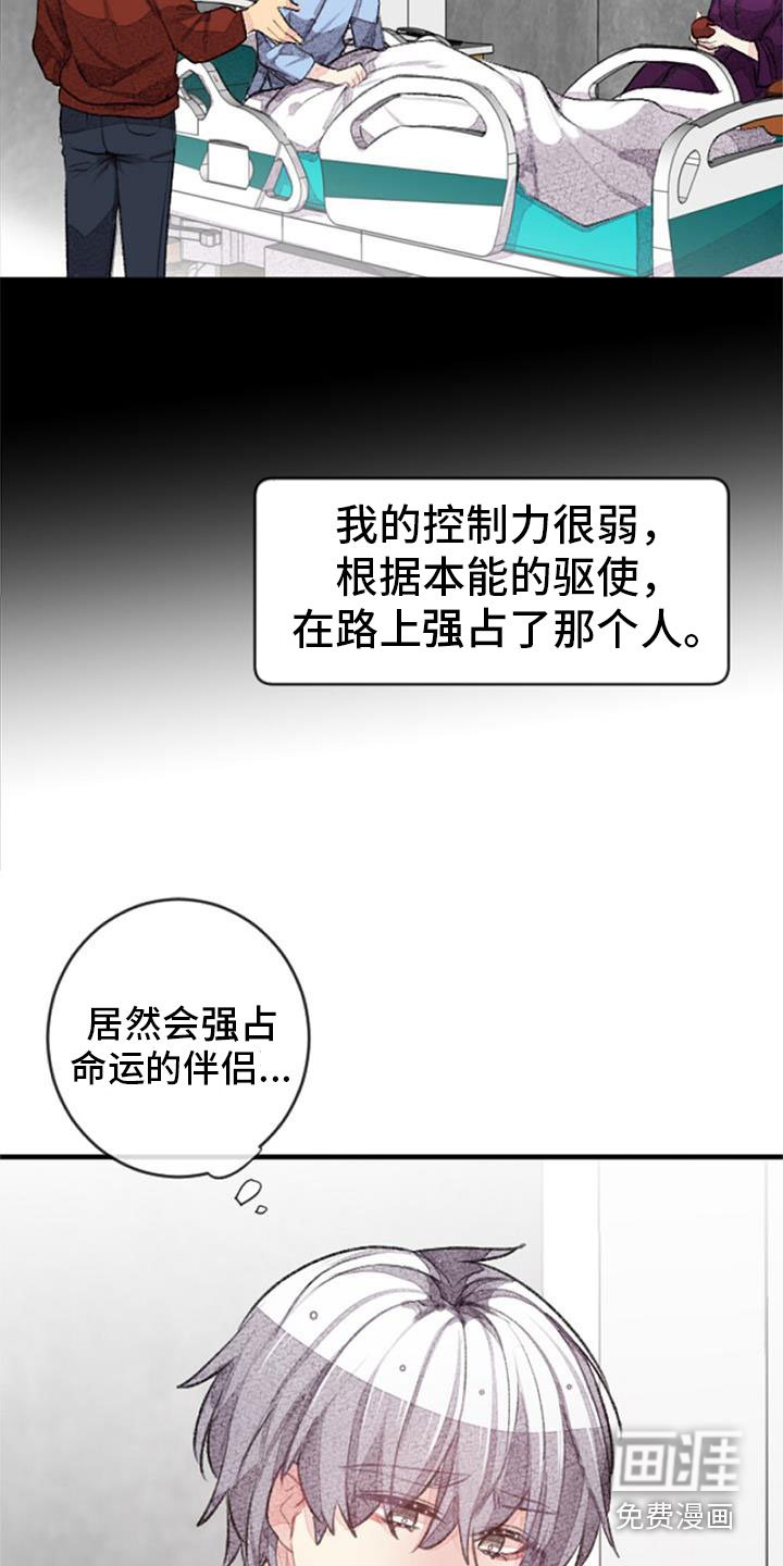第32章：命运的伴侣
