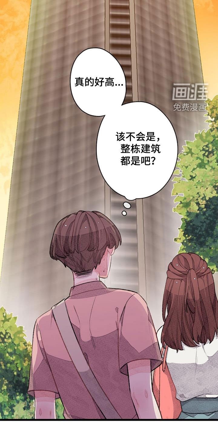 第36章：猜想