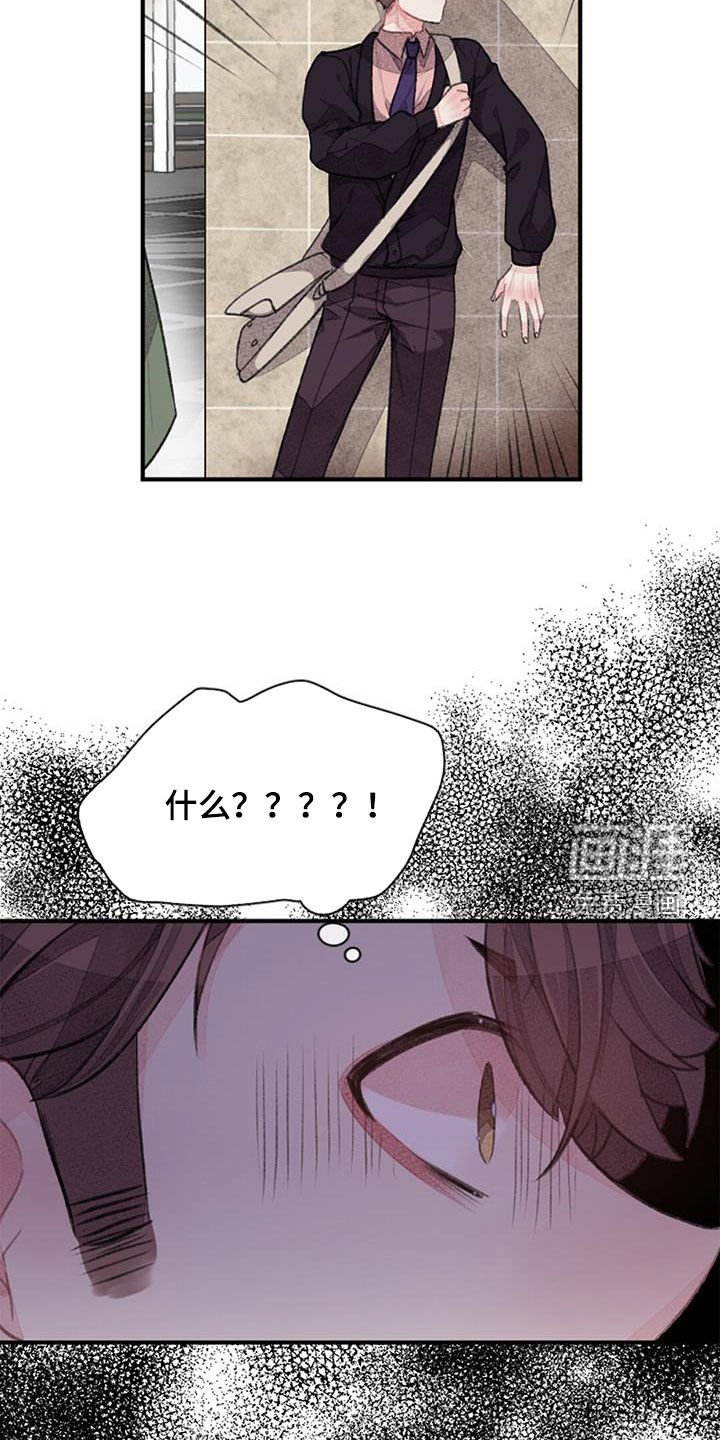 第37章：偶遇