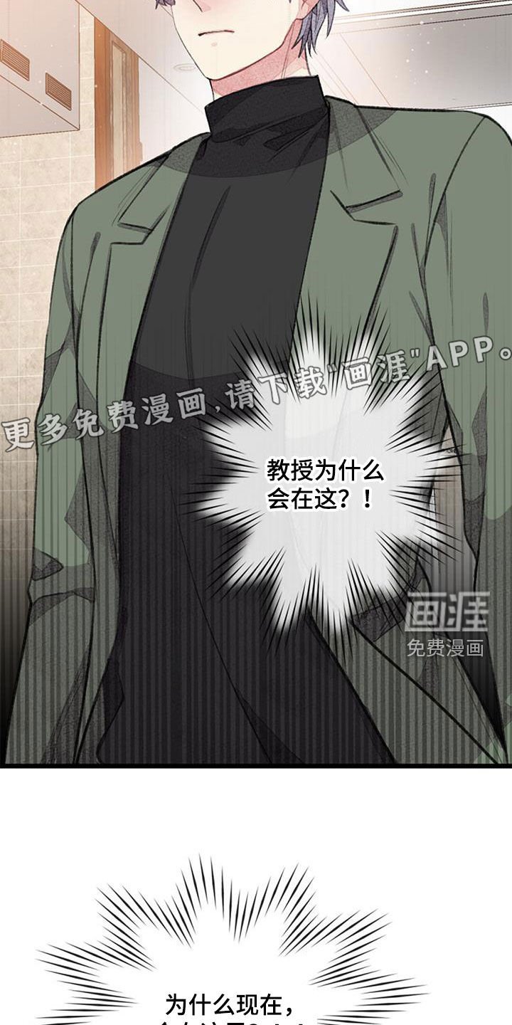 第37章：偶遇