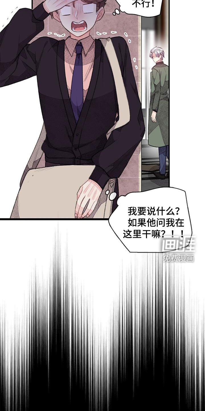 第37章：偶遇