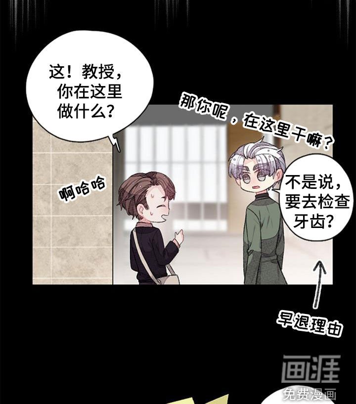 第37章：偶遇